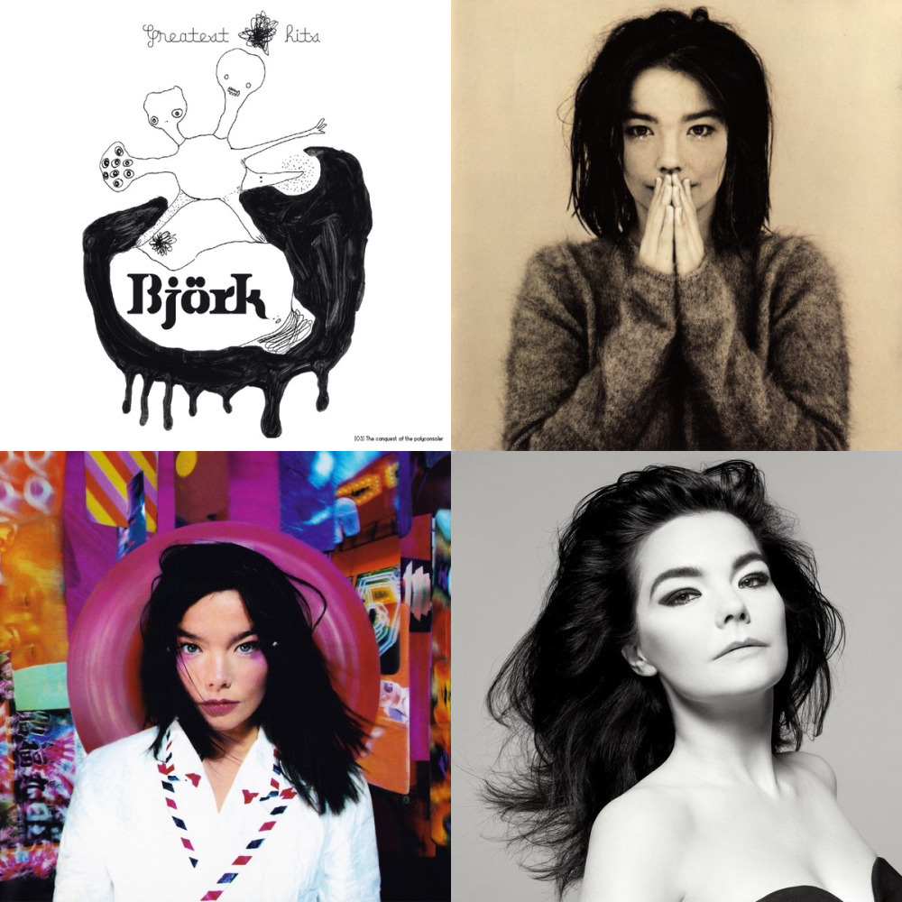 Björk (из ВКонтакте)